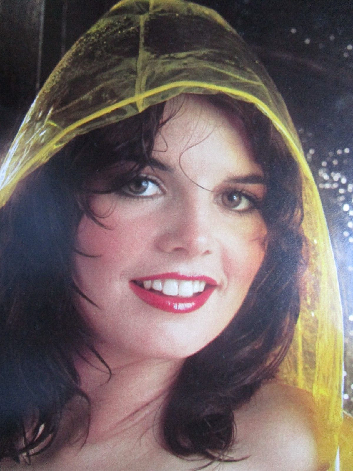 LORRAINE MICHAELS ~ April 1981 Playboy Magazine Playmate CENTERFOLD ONLY LORRAINE MICHAELS ~ April 1981 Playboy Magazine Playmate CENTERFOLD ONLY