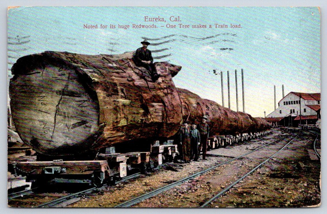 Antique California Postcard EUREKA Huge Redwood Train Log 1911 Antique California Postcard EUREKA Huge Redwood Train Log 1911