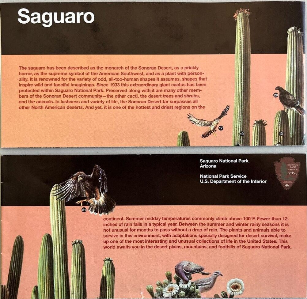 Vintage 2007 SAGUARO NP - AZ   NATIONAL PARK SERVICE UNIGRID BROCHURE/MAP   New
