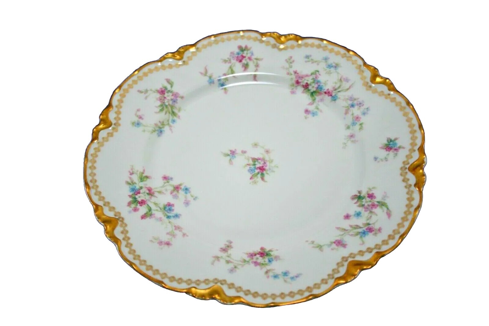 HAVILAND & CO. LIMOGES SCHLEIGER 434 8.5 inch Luncheon Plate