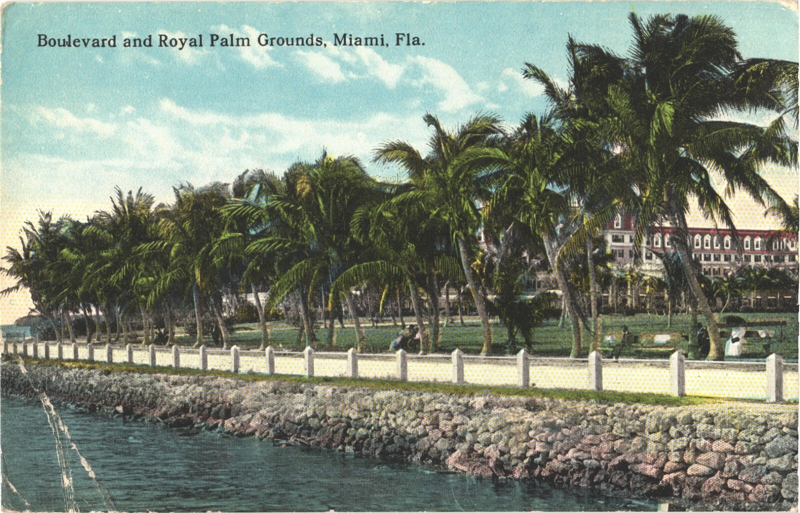 Miami FL Boulevard & Royal Palm Grounds Hotel Divided Back Postcard c1910 Unused Miami FL Boulevard & Royal Palm Grounds Hotel Divided Back Postcard c1910 Unused
