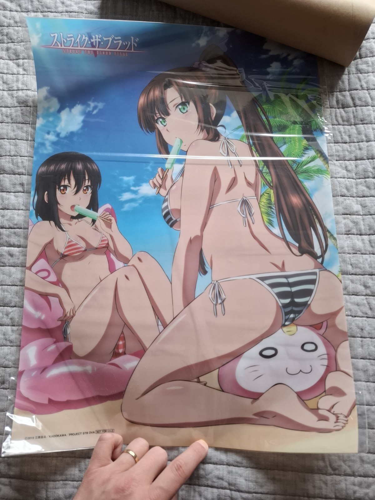 Strike the Blood FINAL OVAs B3 Clear Poster Yukina & Sayaka Collectible