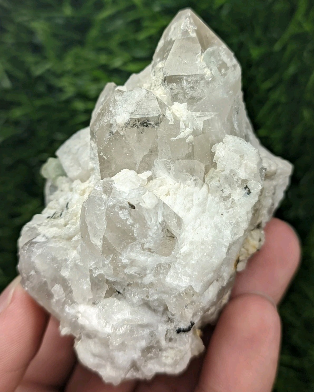 192-gm Rare Hydroxyl Herderite Nicely Terminated Crystals on Quartz with Albite