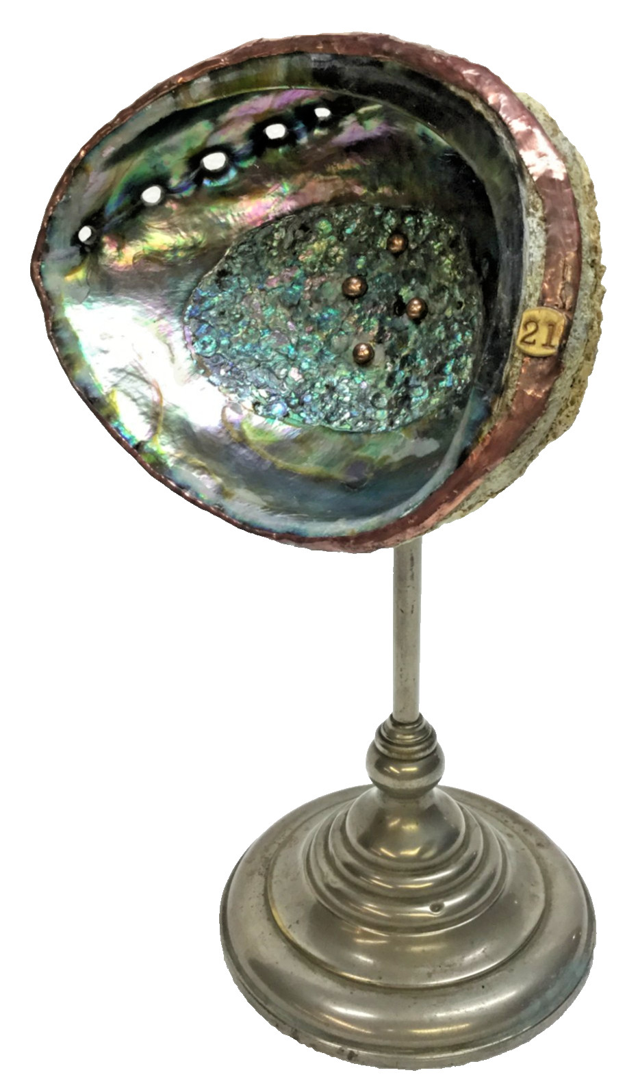 Abalone Seashell on Antique Stand Ken Reinhardt Assembled Aurene Blue Iridescent