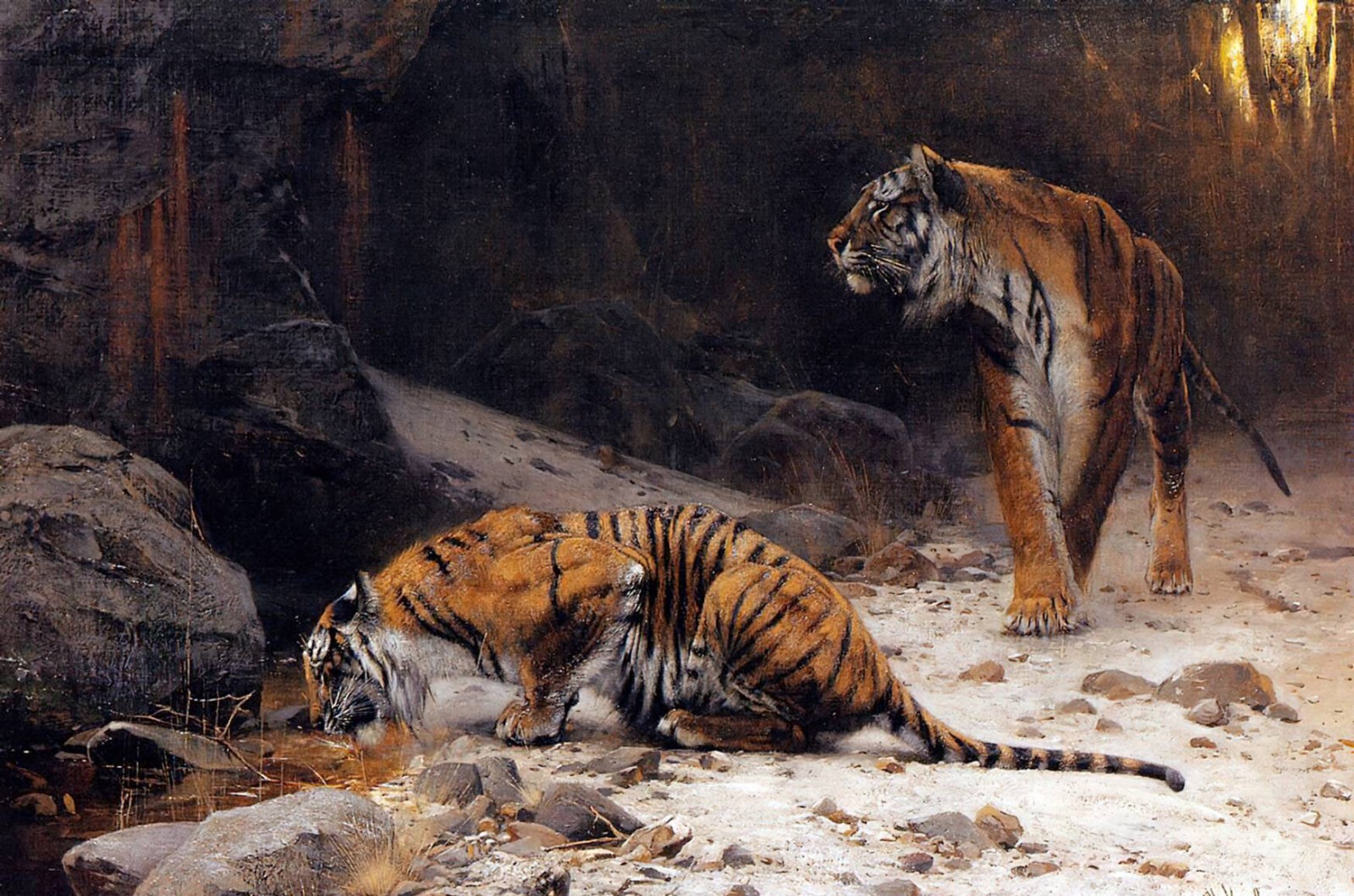 Oil painting Friedrich-Wilhelm-Kuhnert-Tigers-at-a-Drinking-Pool landscape art