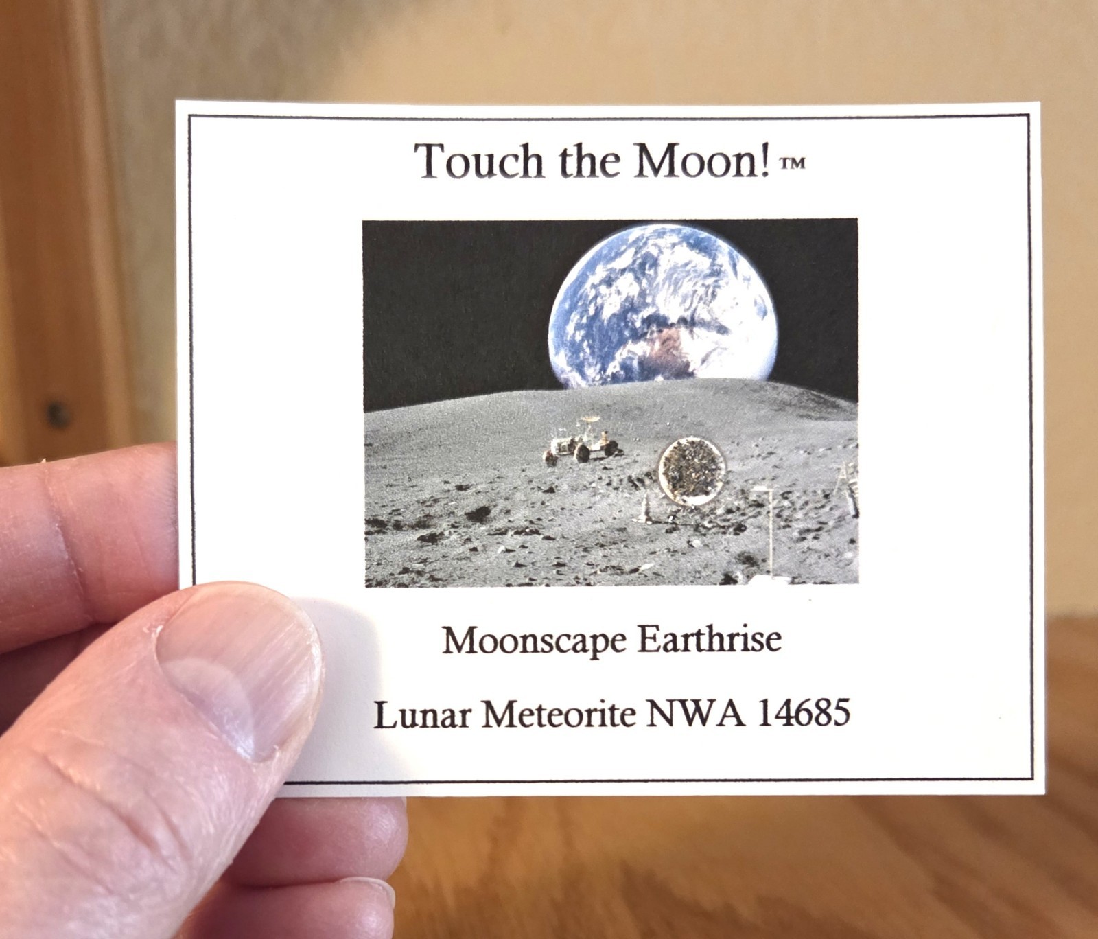 Genuine Moon Rock Mini-Museum Display. Lunar Meteorite. Stand. Authenticity Card