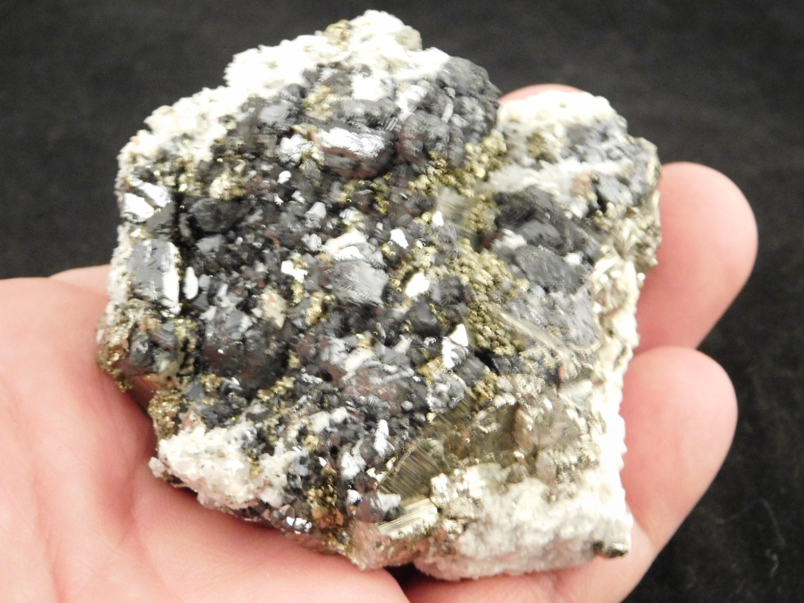 Sphalerite Crystal Cluster with Chalcopyrite Calcite and Pyrite 351gr