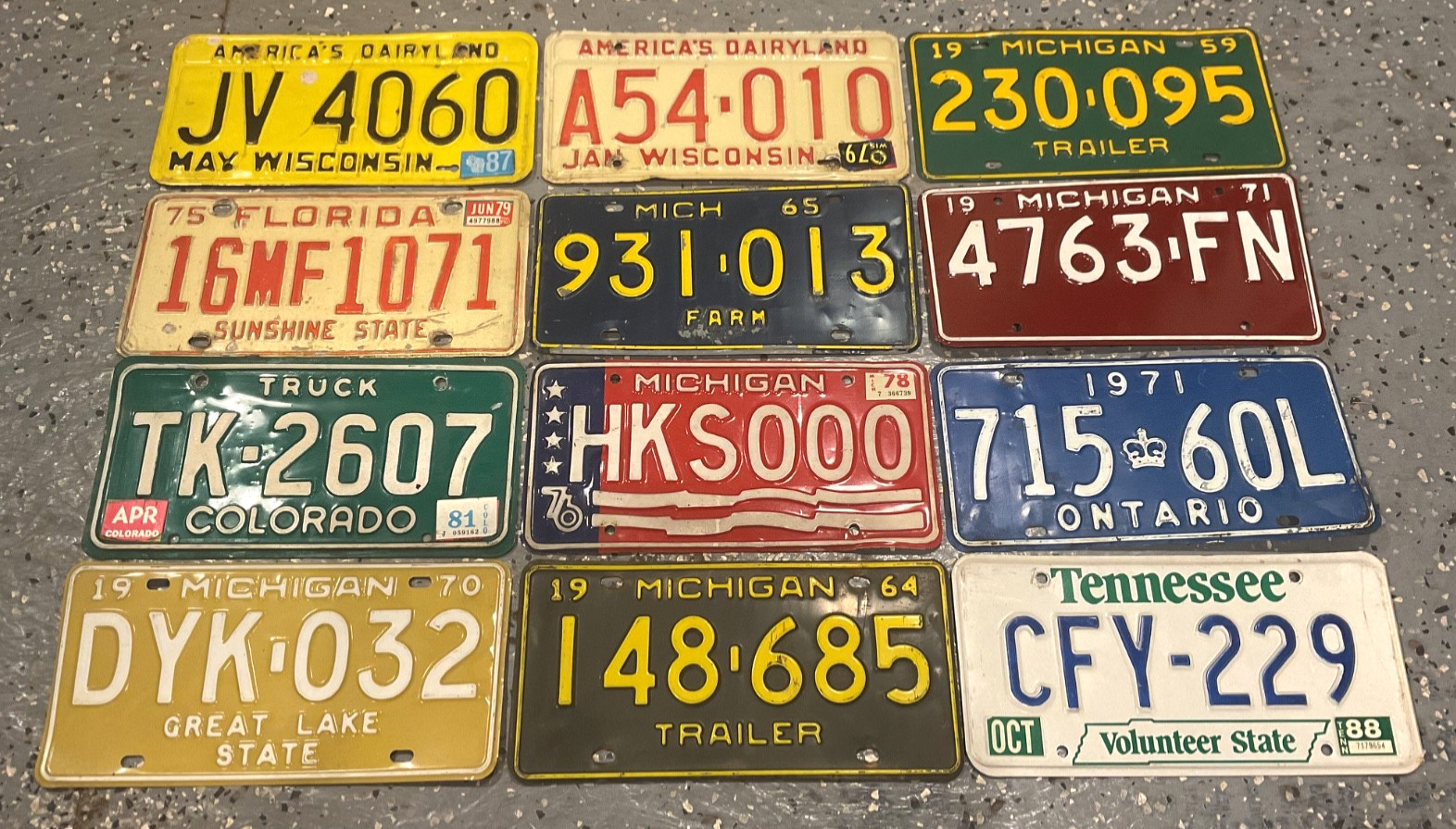 LOT OF 12 VINTAGE LICENSE PLATE PLATES ORIGINAL MICHIGAN FLORIDA TENNESSEE ETC 