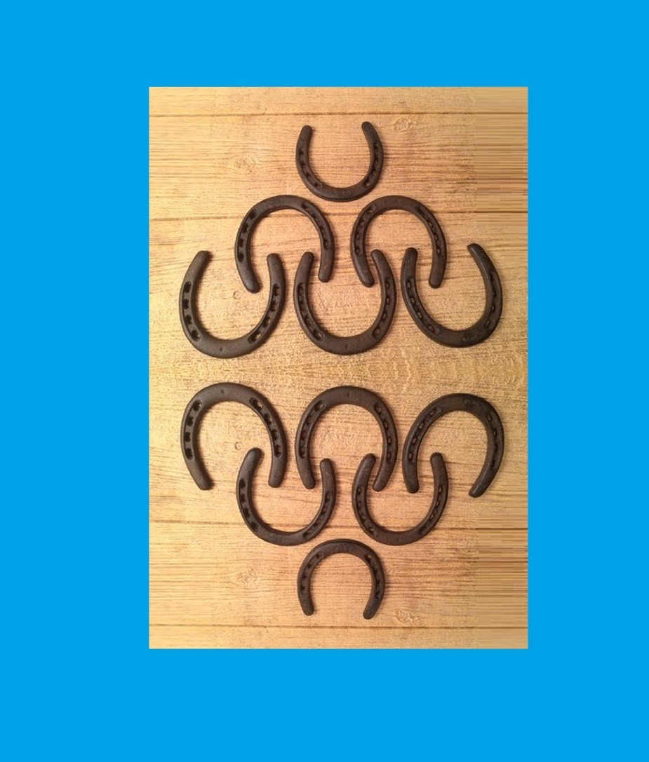 Set of Twelve (12) Large Horse Shoes Rustic Cast Iron 5