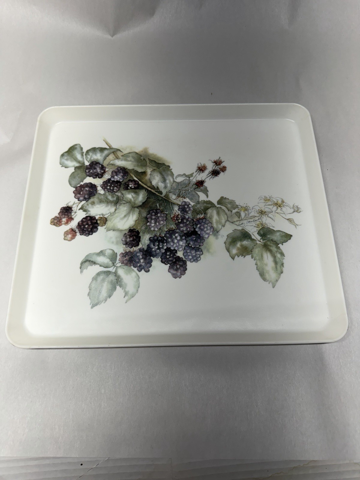 Design Imports Blackberries Judy Lambert Melamine Serving Tray ITALY 12x10.5