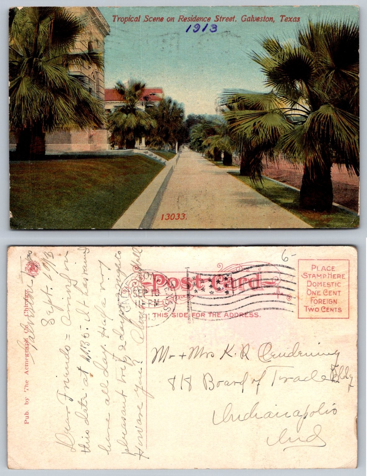1913 Galveston, Texas Tropical Scene Residence Street Palm Trees Postcard