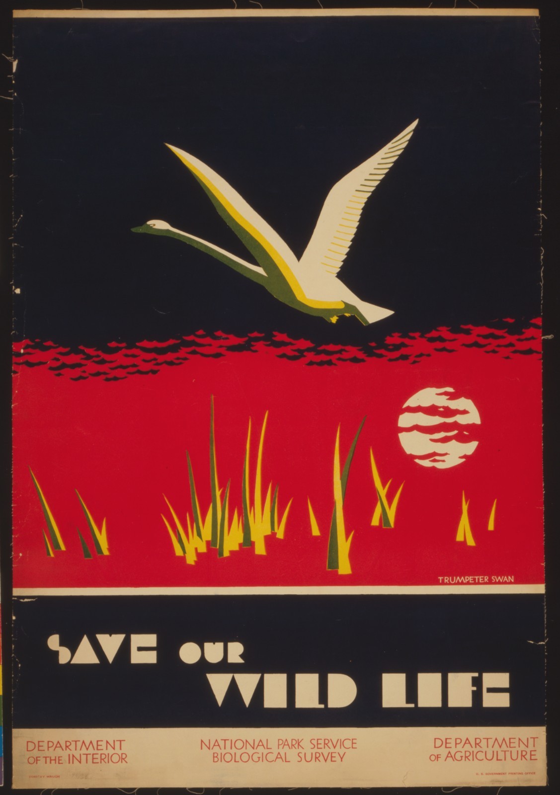 Vintage Save our Wildlife National Park Travel Art Poster Print