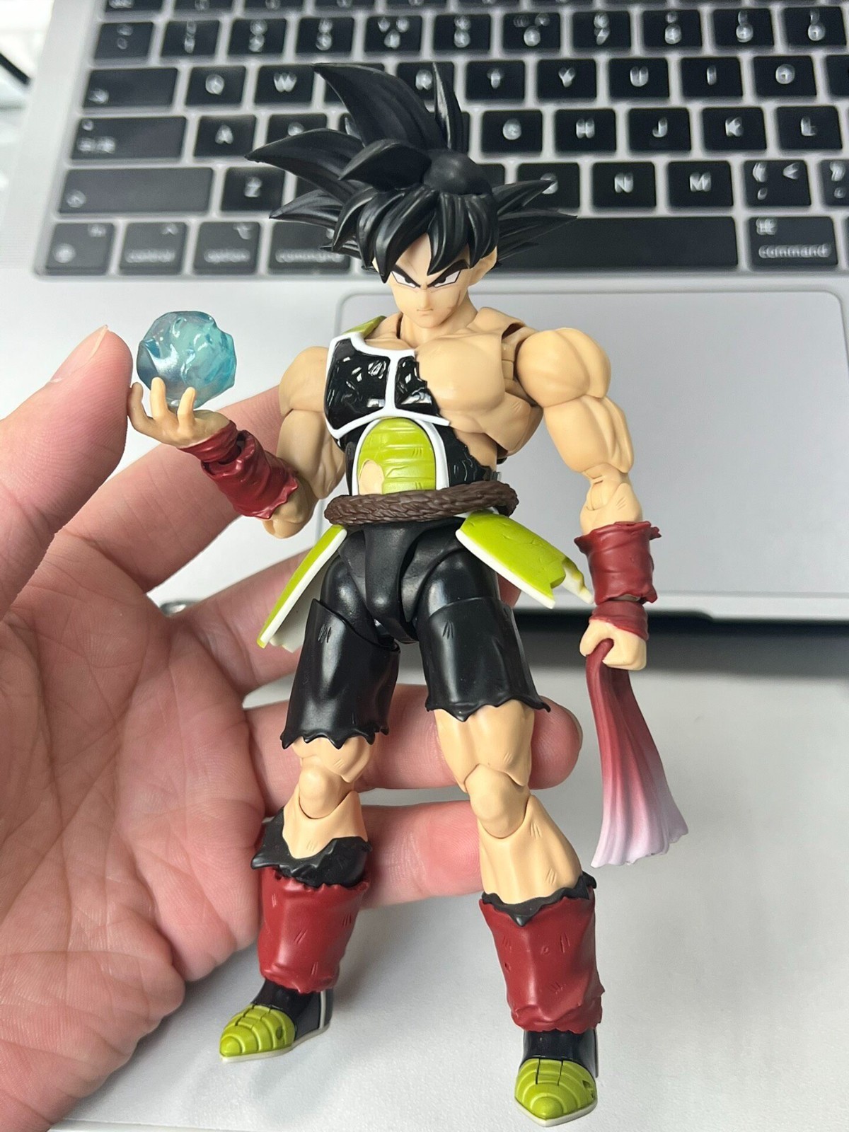 custom  Dragon Ball  shf burdock