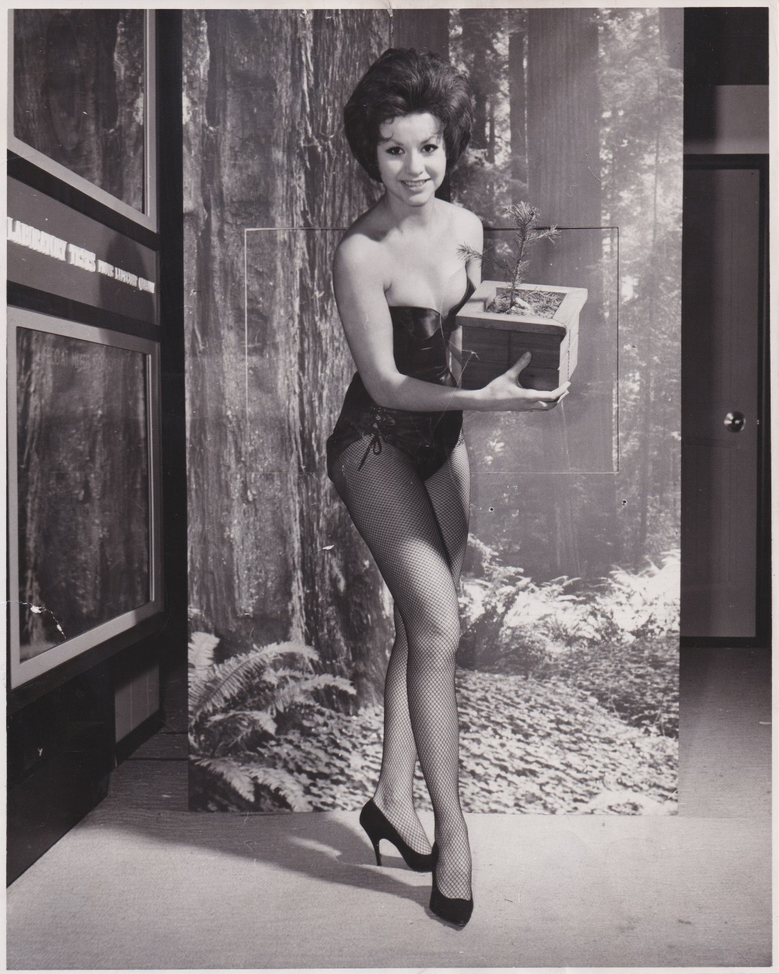 1961 Press Photo Leggy Model and Playboy Bunny Kelly Collins poses with Fir Tree