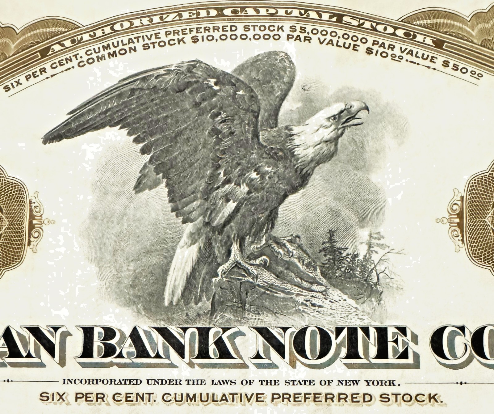 Antique 🦅 American Bank Note Co Eagle Stock Certificate, Brown Preferred