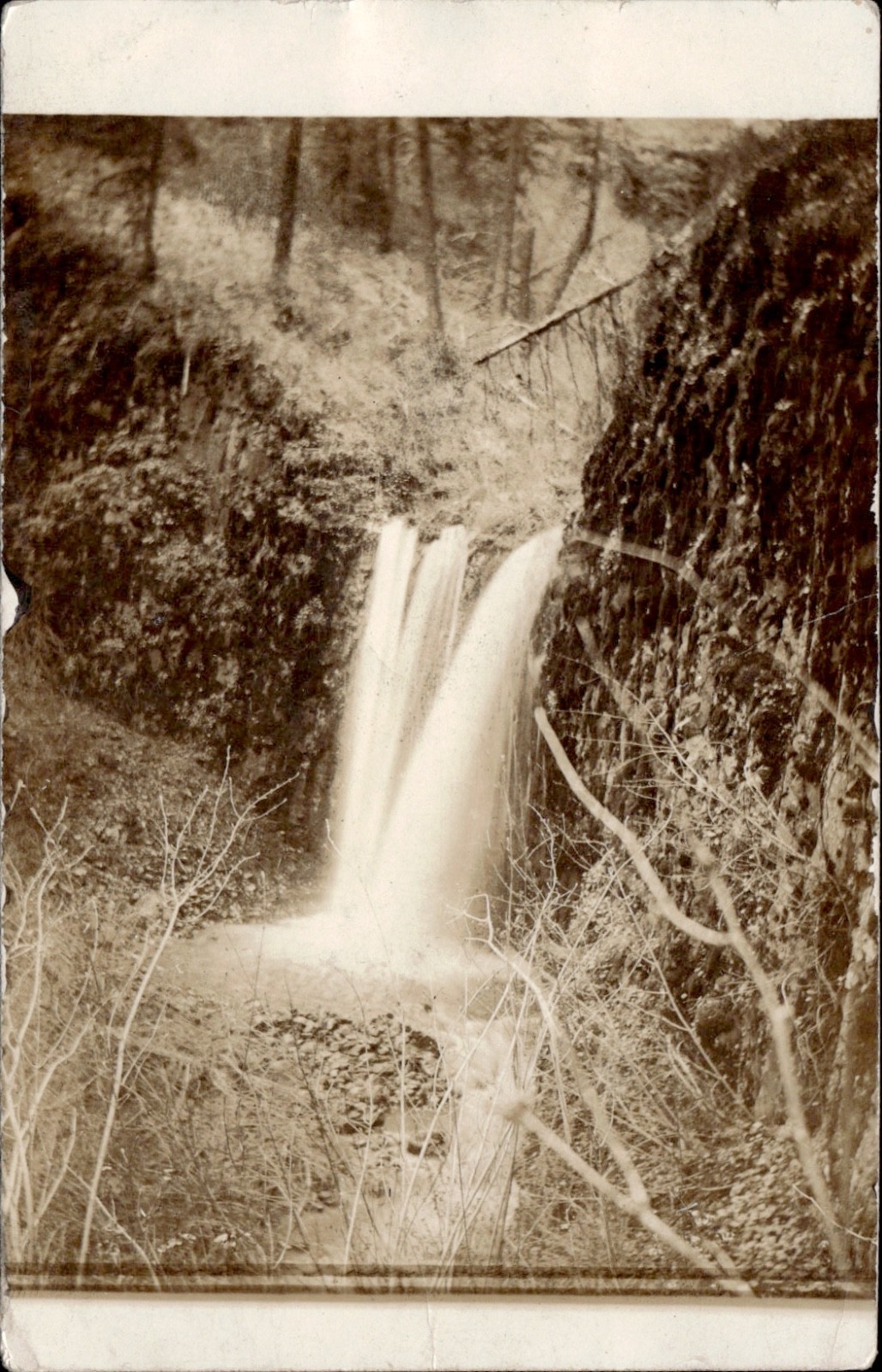 1910 RPPC Waterfall Scene Flora Oregon Real Photo Postcard PNW Nature View