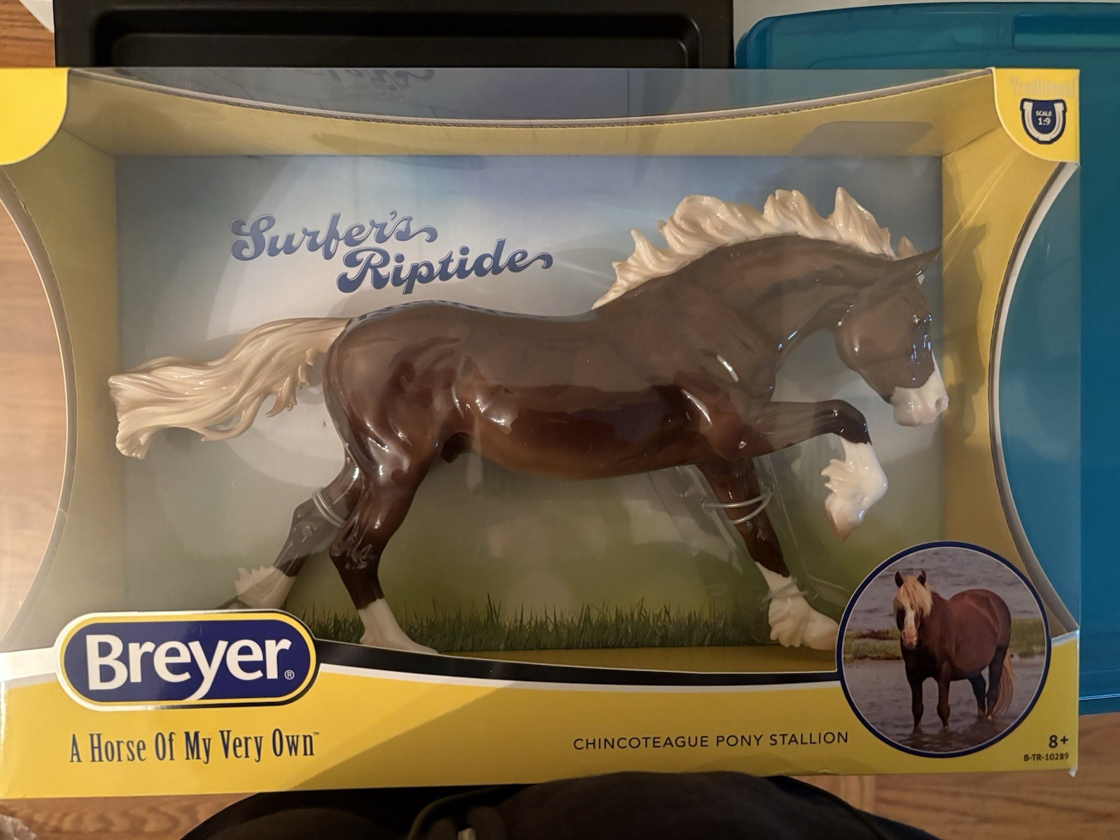 Breyer 2026 CCA Glossy Surfer’s Riptide NIB box dings