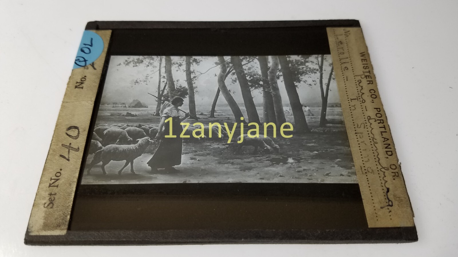 QOL Glass Magic Lantern Slide Photo PARIS LUXEMBURG LEROLLE IN SPRING QOL Glass Magic Lantern Slide Photo PARIS LUXEMBURG LEROLLE IN SPRING