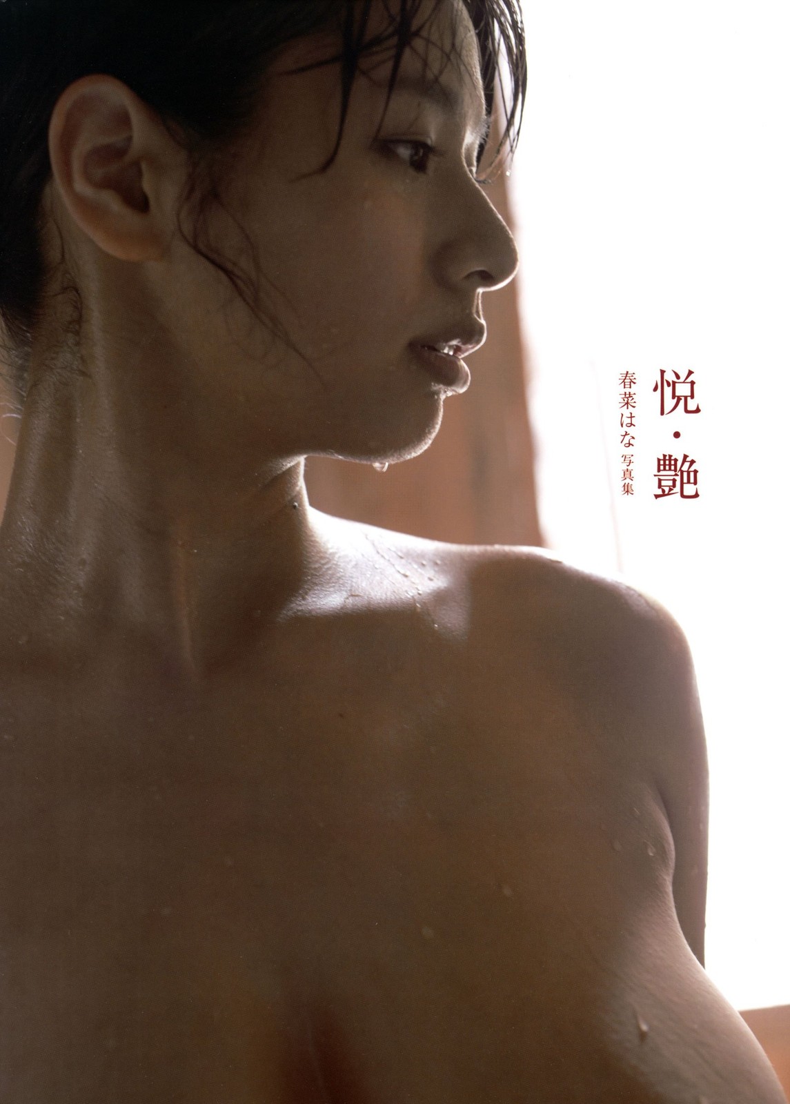 Haruna Hana Japanese Photobook \