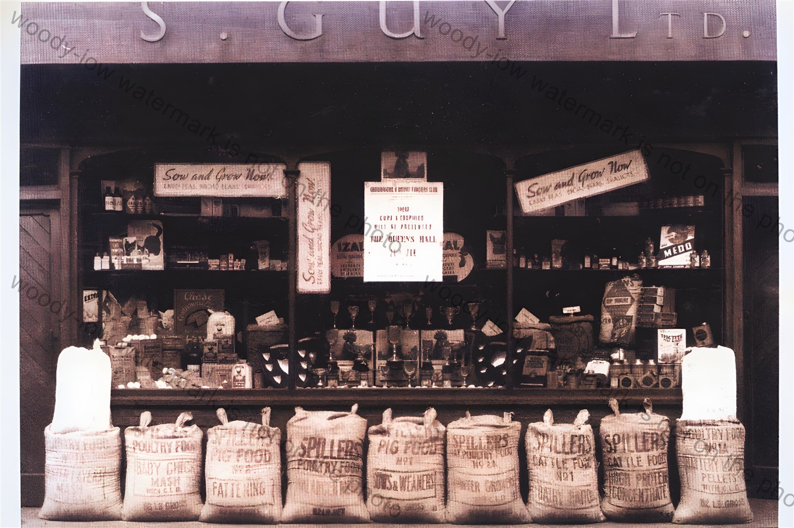 IWC419 - S Guy Ltd , Pyle Street , Newport 1949 , Isle of Wight - print 6x4 IWC419 - S Guy Ltd , Pyle Street , Newport 1949 , Isle of Wight - print 6x4