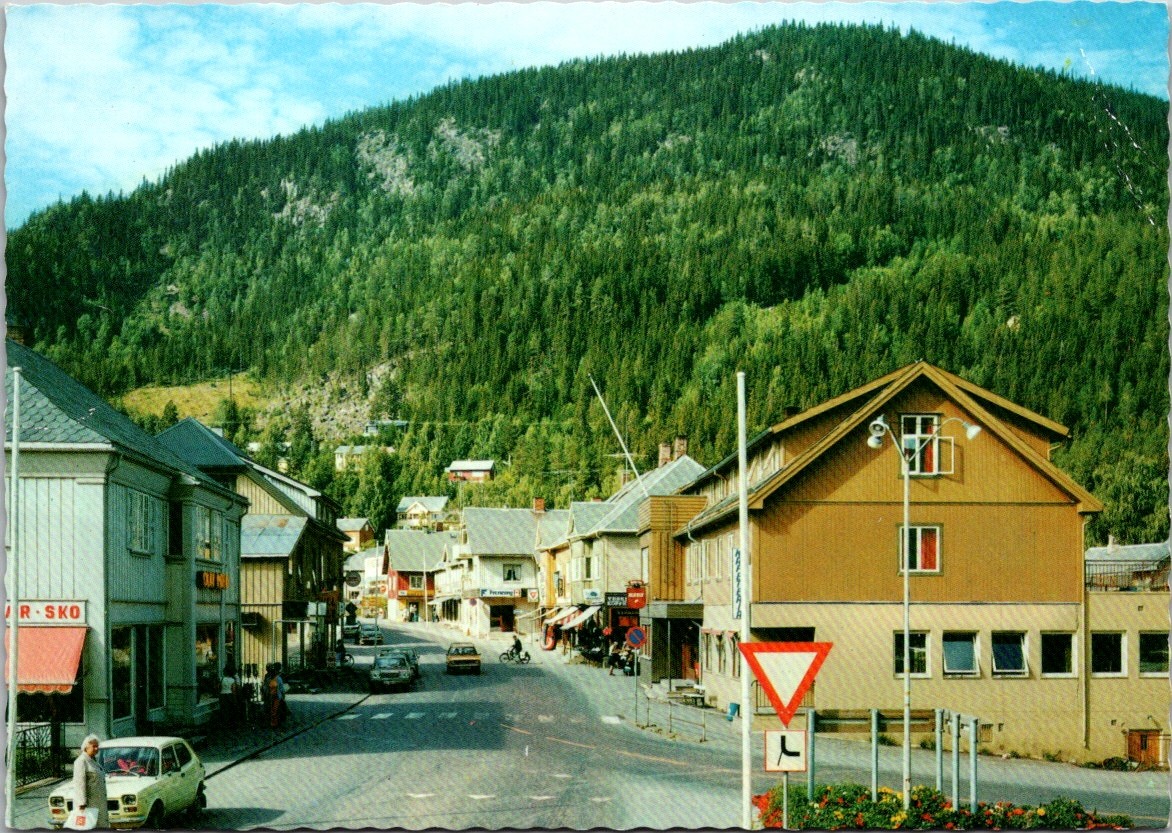Fagernes Norway Town Street View Postcard