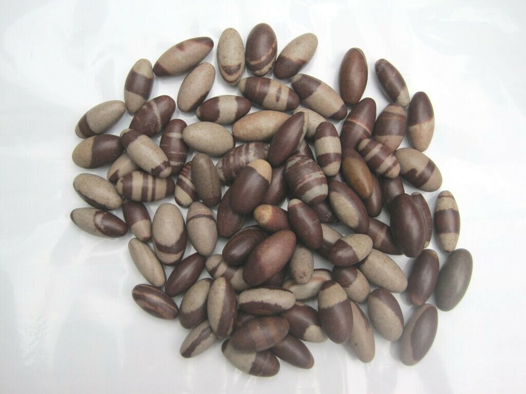 51 Pcs Narmada Shiva Lingam Stones 1–1.25