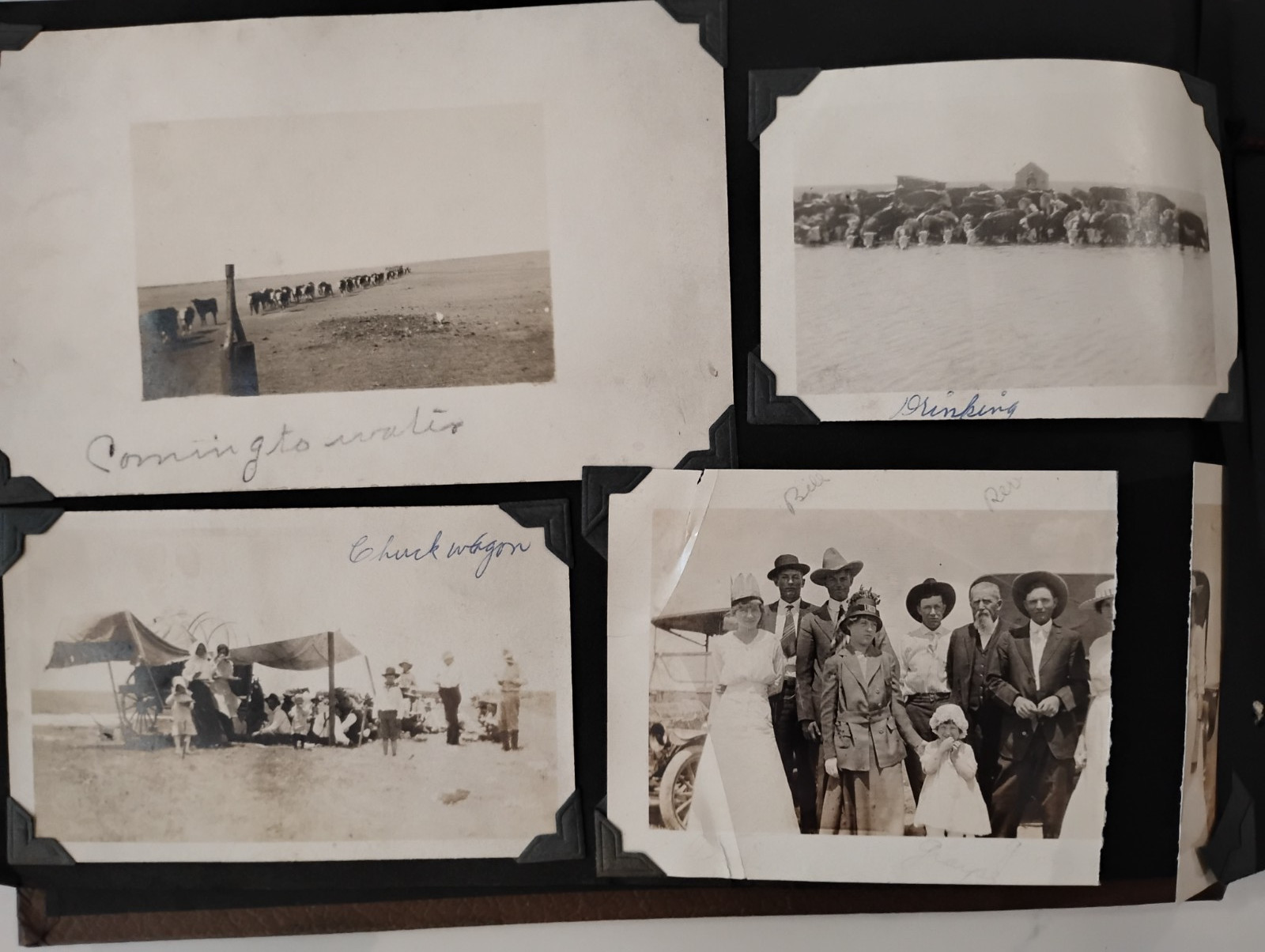 Antique 1914 Photo Album 72 Amazing Vintage Texas Prairie Images RPPC\'s & Photos
