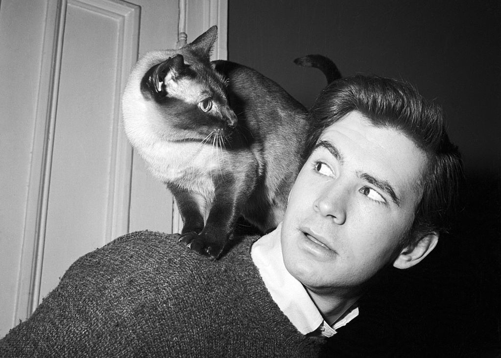 ANTHONY PERKINS with a Siamese CAT - Film Actor  - 5 x 7 in Reprint