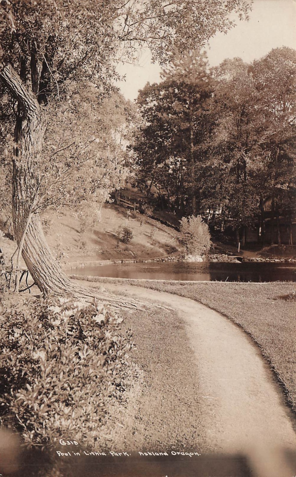 RPPC Ashland OR Oregon Lithia Park Pool Vtg Postcard 6A