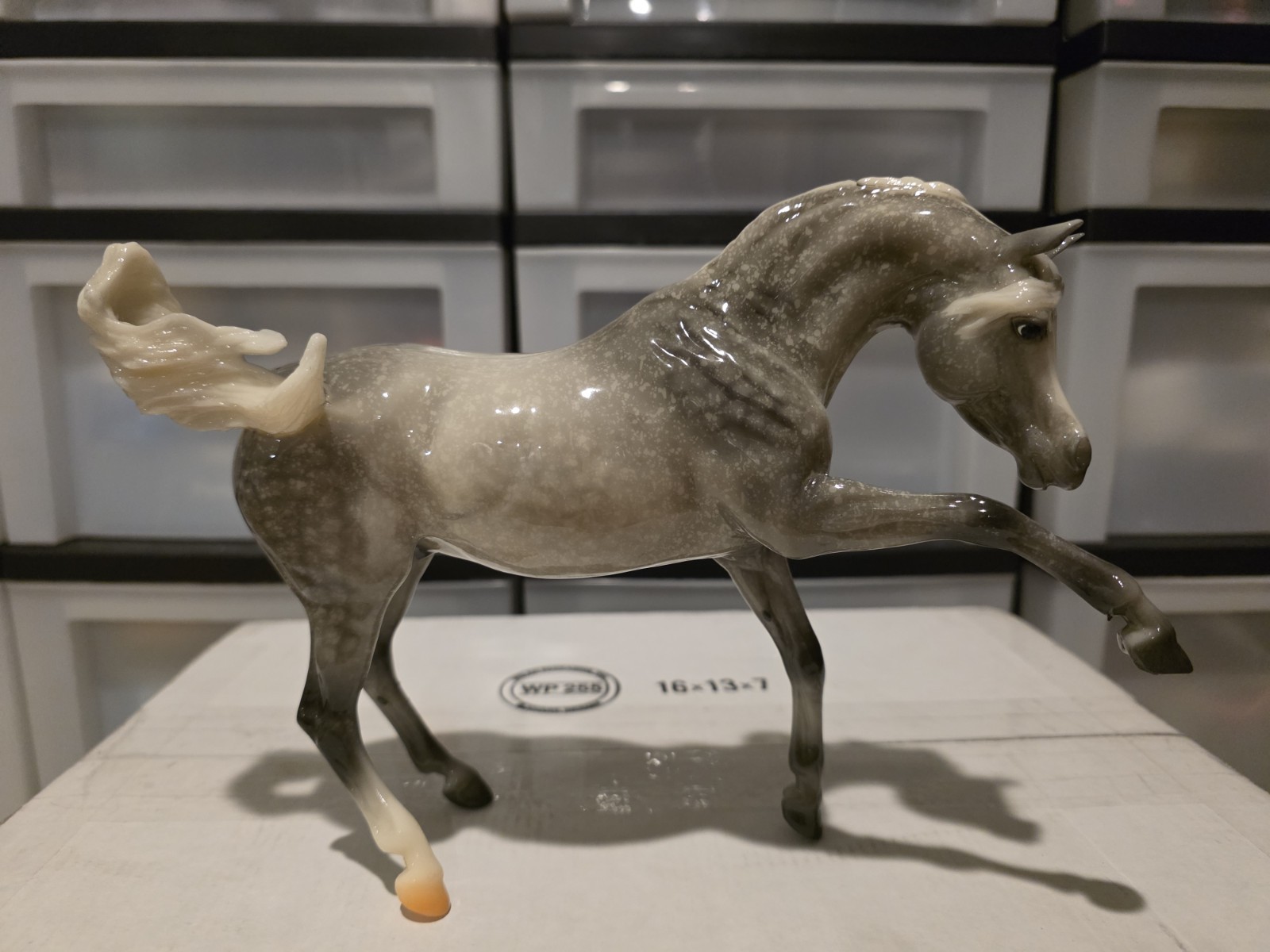 Breyer Breyerfest 2024 Special Run Edge of Glory 