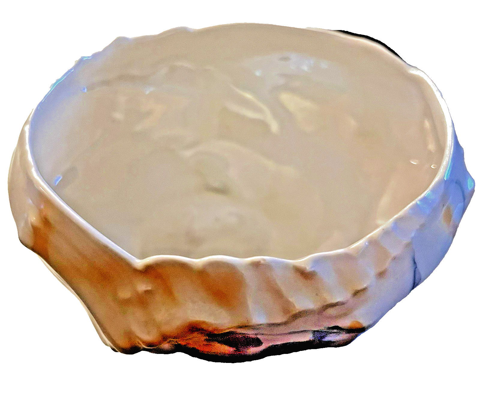 Royal Bayreuth Seashell Sugar Bowl Iridescent Porcelain Bowl Vintage Conch Shell