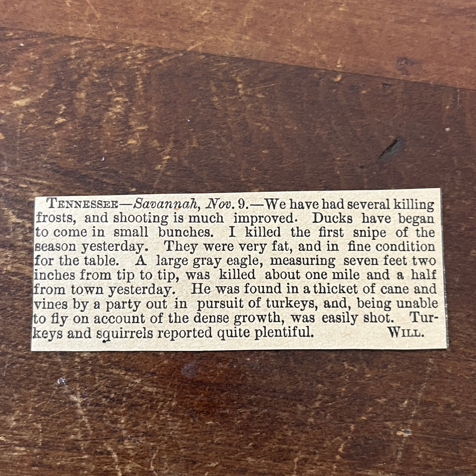 Nov 1878 Fowl Hunting Report From Savannah Tennessee 1878 Article AG2-S16 Nov 1878 Fowl Hunting Report From Savannah Tennessee 1878 Article AG2-S16