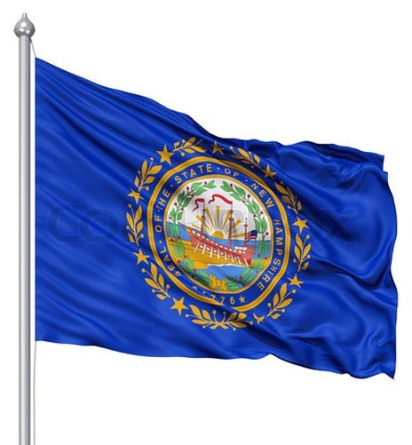NEW 2x3 ft NEW HAMPSHIRE STATE OF FLAG better quality usa seller