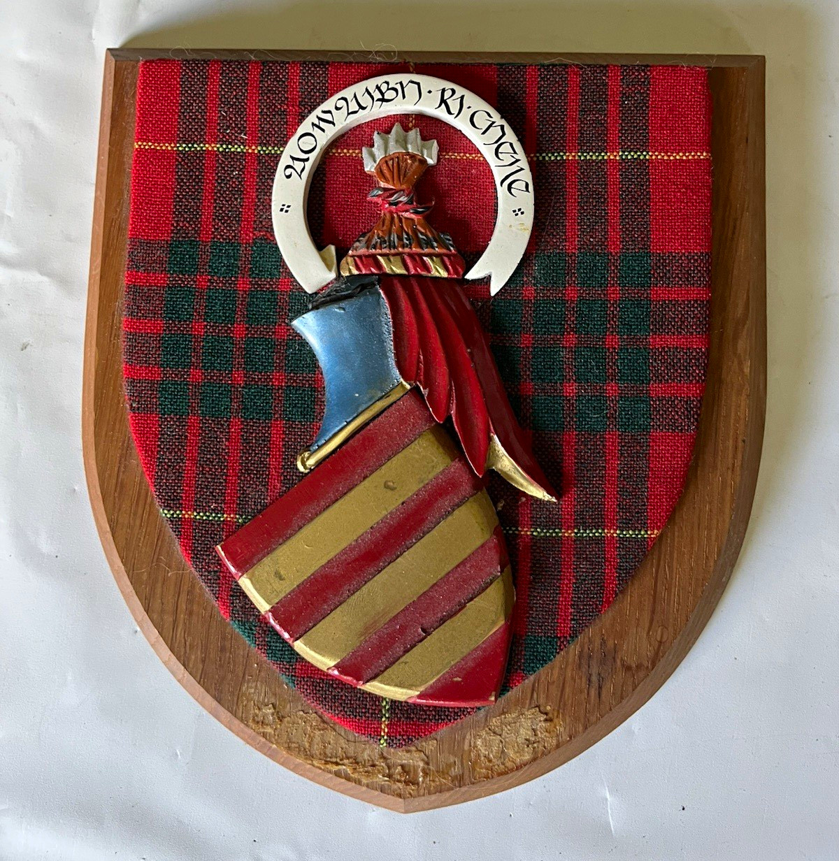 Vintage Heraldic Woodcarvers Clan Cameron Tartan Coat of Arms Shield Plaque