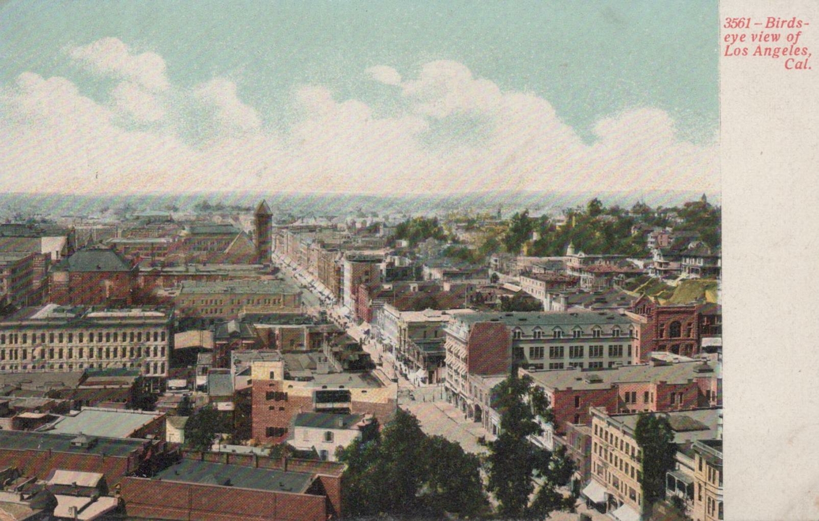 Postcard Birds Eye View Los Angeles CA 