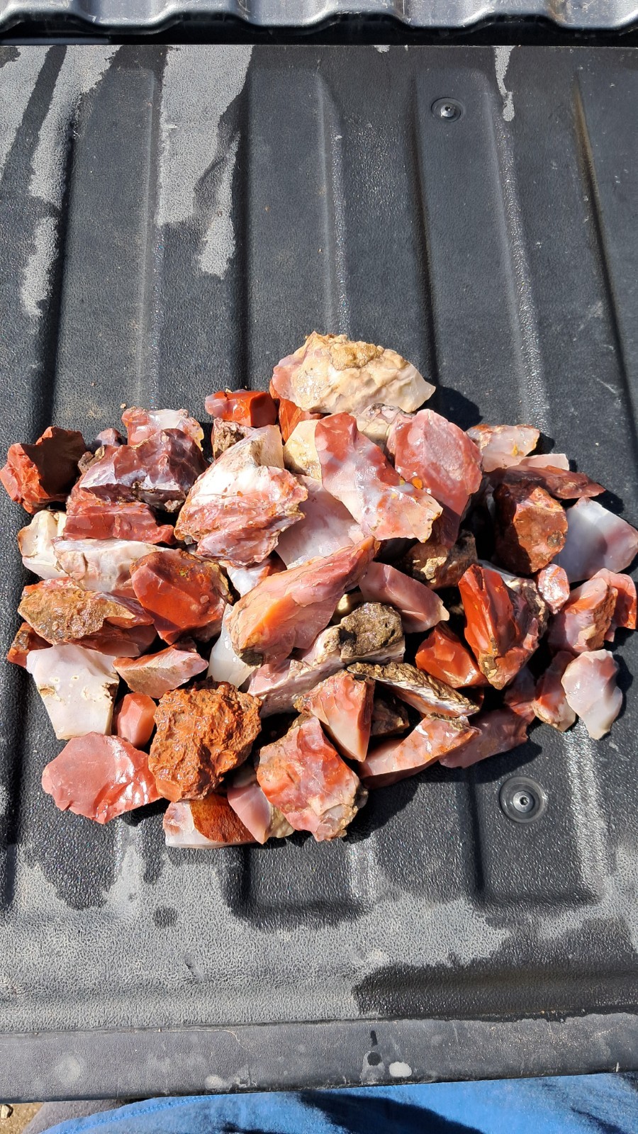 Pigeon Blood Agate 8+ Lbs. Rough Lot 