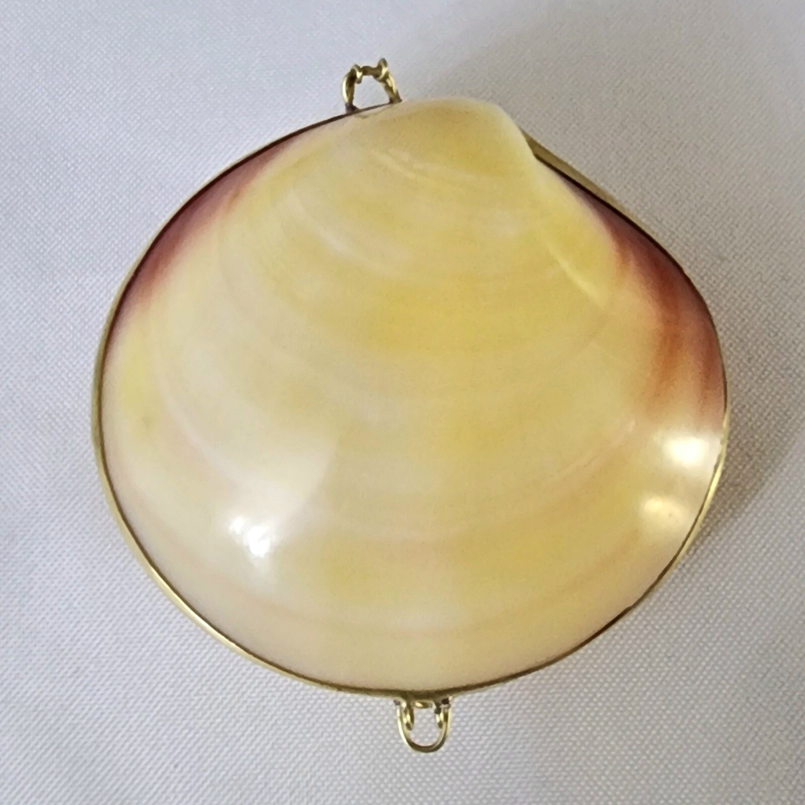 Antique/Vtg. Clam Shell Trinket Holder Brass Clasp Natural. 