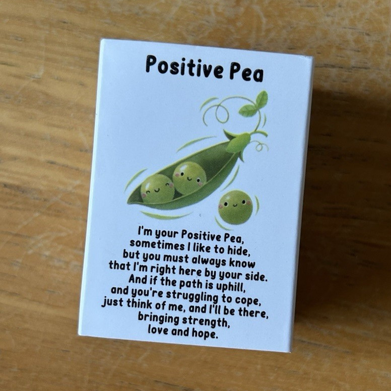 Positive Pea Small Lidded Paper Gift Box, White/Green Rectangle Pea Pattern