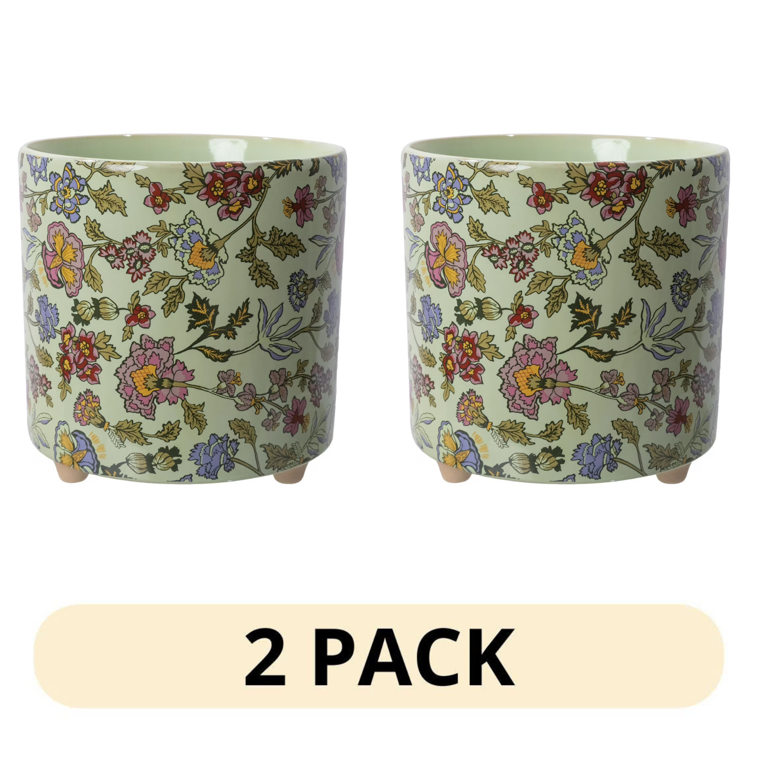 2 Pack Beautiful 8in Sage Wildflower Footed Ceramic Planter Drew Barrymore