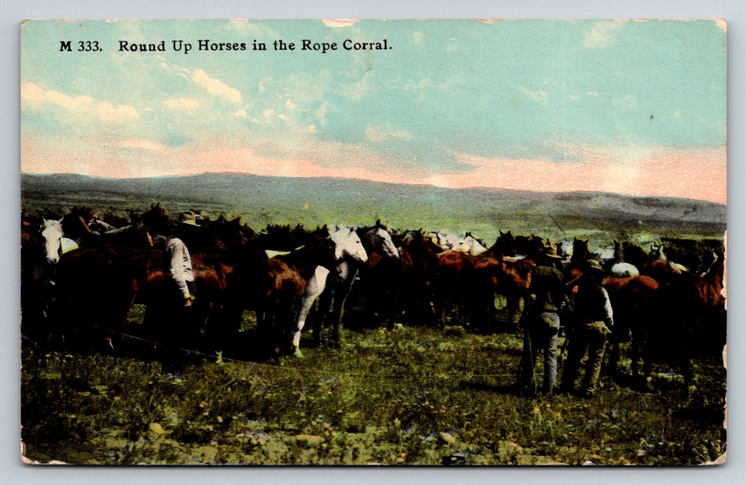 Vintage Chas E Morris Postcard M333 Round Up Horses Rope Corral Montana Ranching