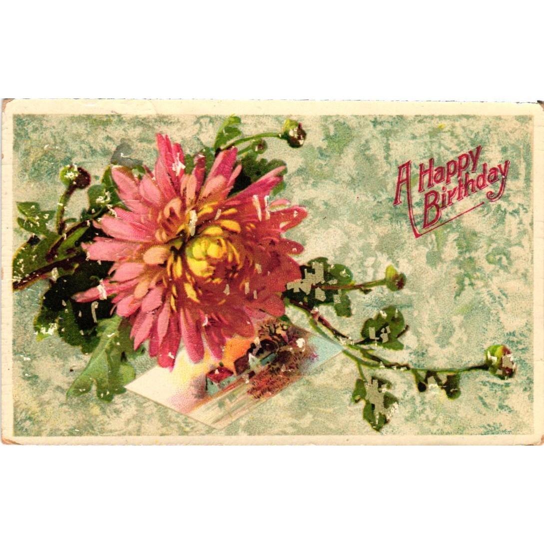 Vintage 1912 Birthday Postcard Pink Chrysanthemum Flower Sherman NY Postmark