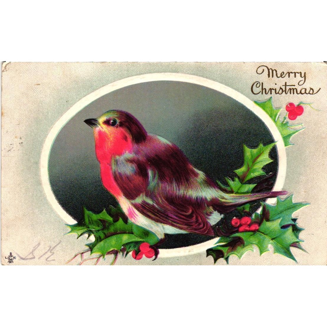 Antique 1913 Merry Christmas Postcard Robin Holly Canada Stamp Series 224 A