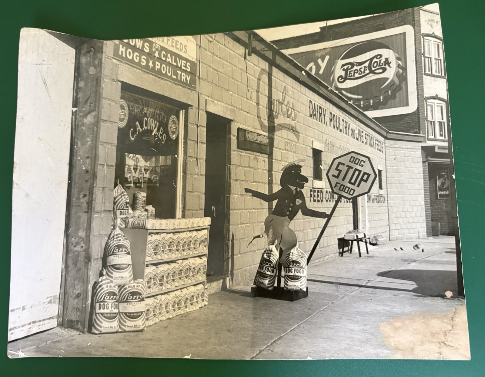 Vintage 1930s Photo C.A. Cowles Feed Store Southington Connecticut Dog Food Pet