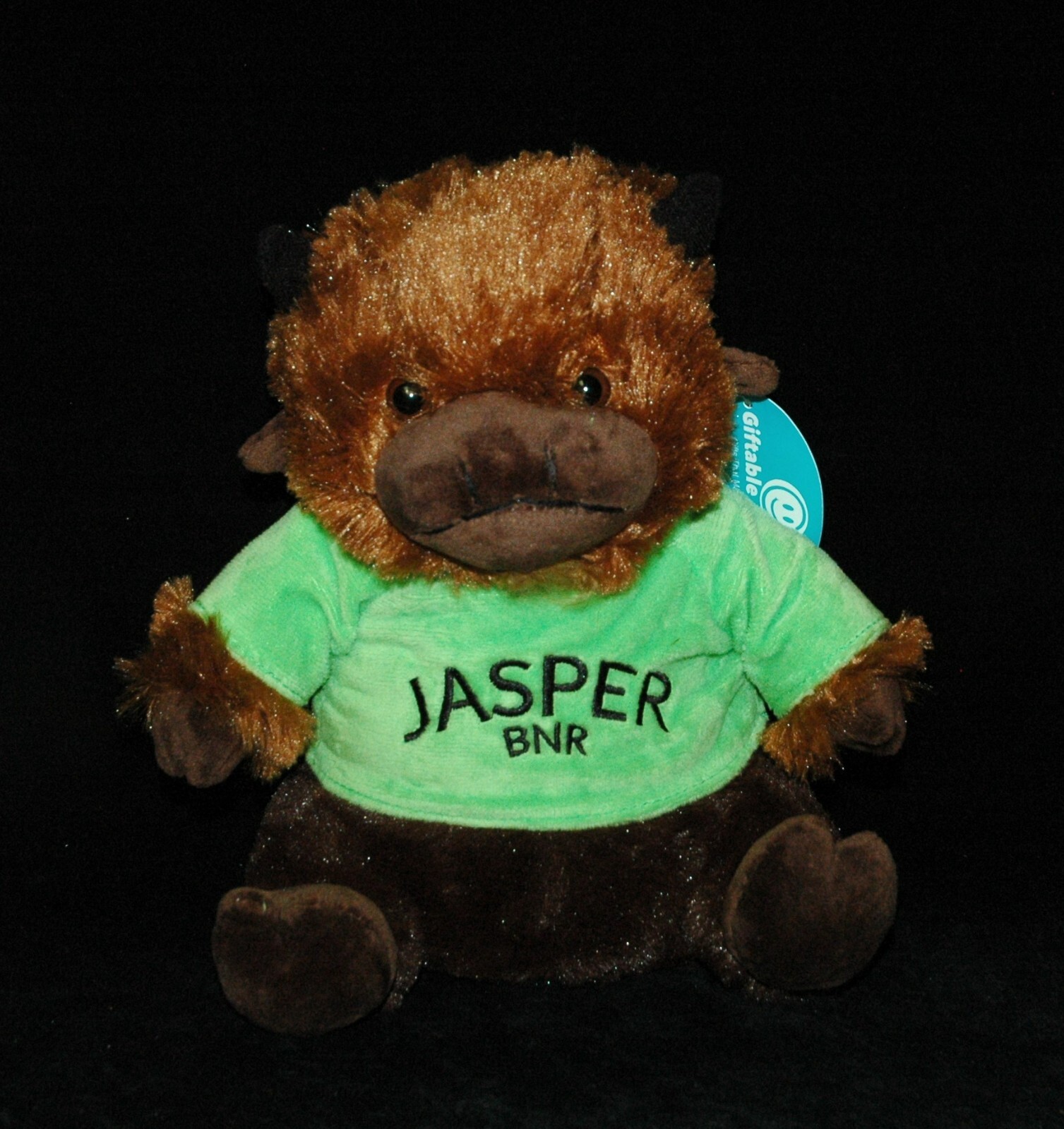 Official Mascot of the Buffalo National River \