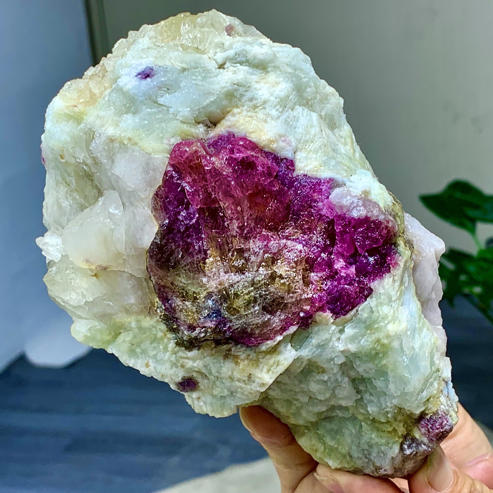 2.72LB Natural Two tone watermelon tourmaline crystal cluster mineral specimen