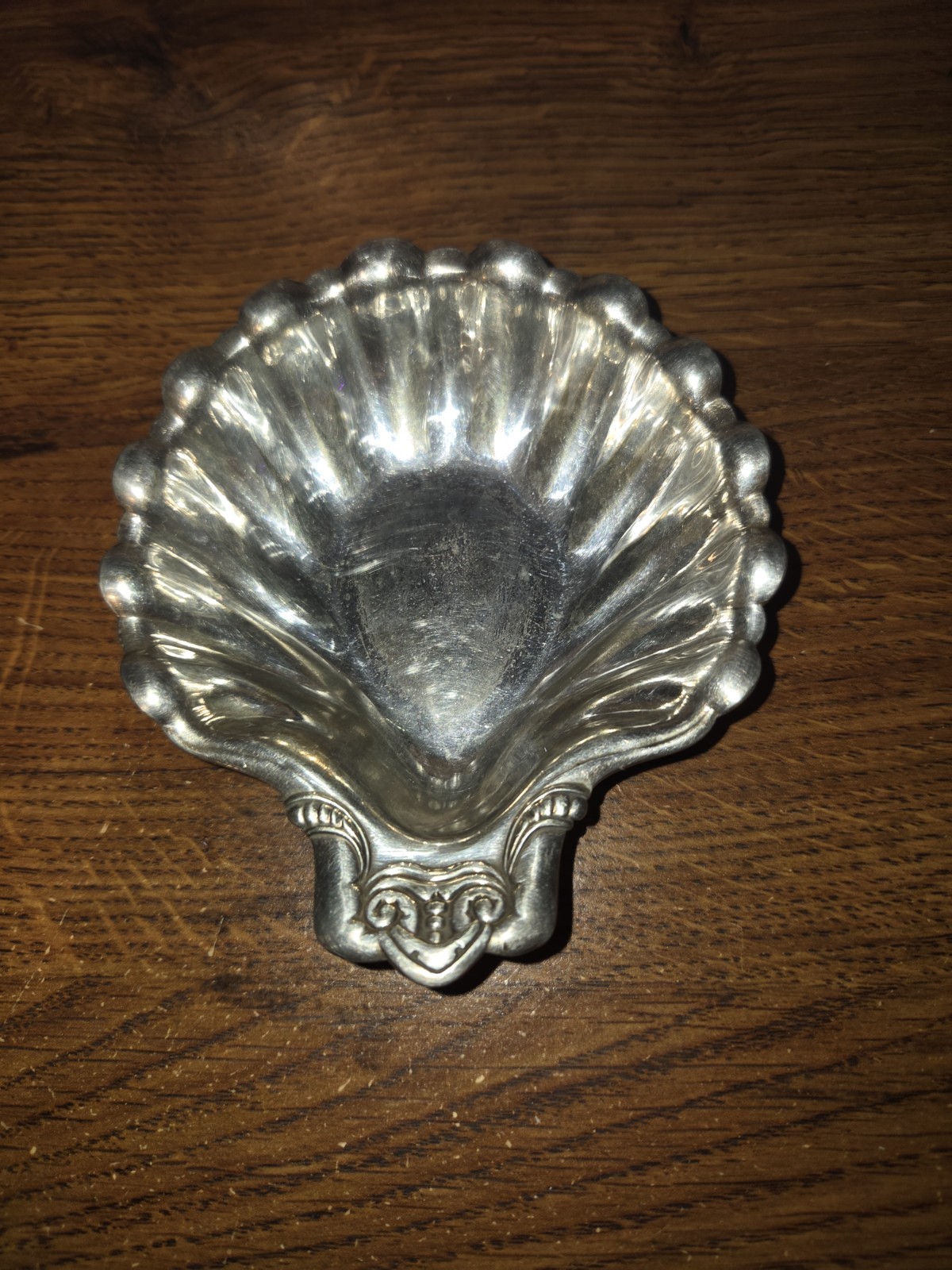 Vintage Clam Shell