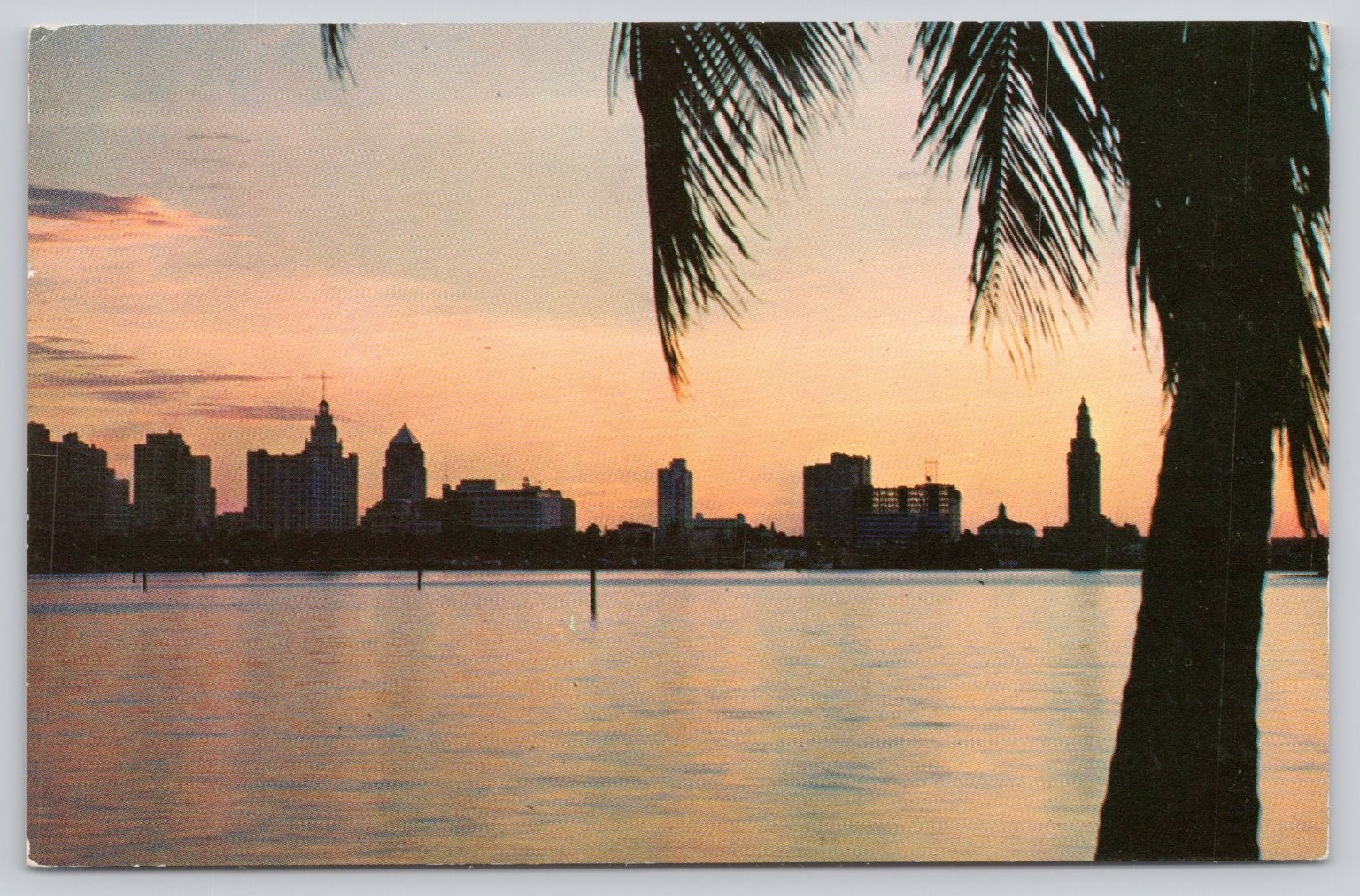 Vintage 1962 Miami Florida Sunset Skyline Tropical Palm Trees Postcard