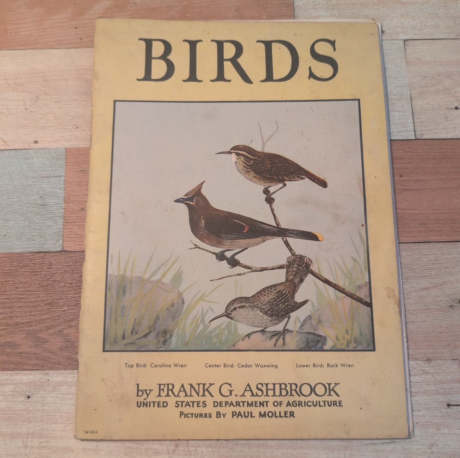 1930 BIRDS By Frank G. Ashbrook Bird Guide Vintage USA Dept Of Agriculture 1930 BIRDS By Frank G. Ashbrook Bird Guide Vintage USA Dept Of Agriculture