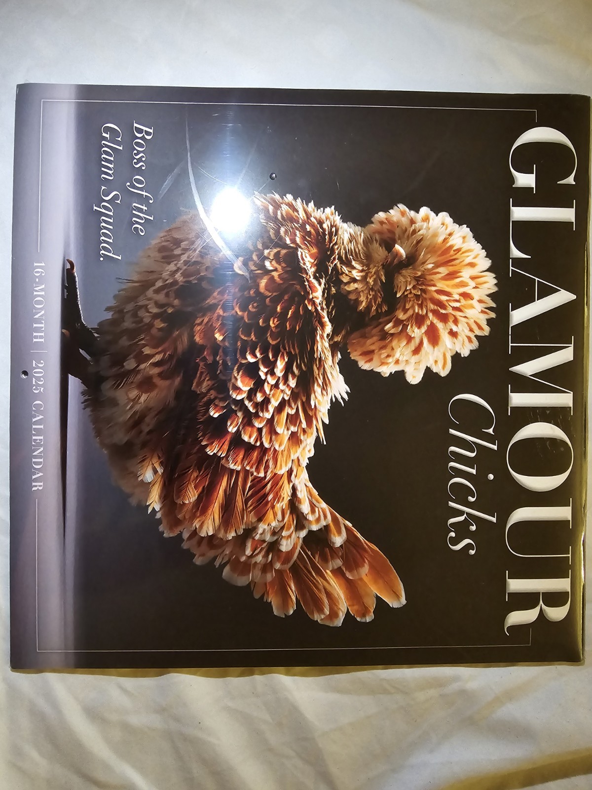 Sellers Publishing,  Glamour Chicks 2025  Wall Calendar
