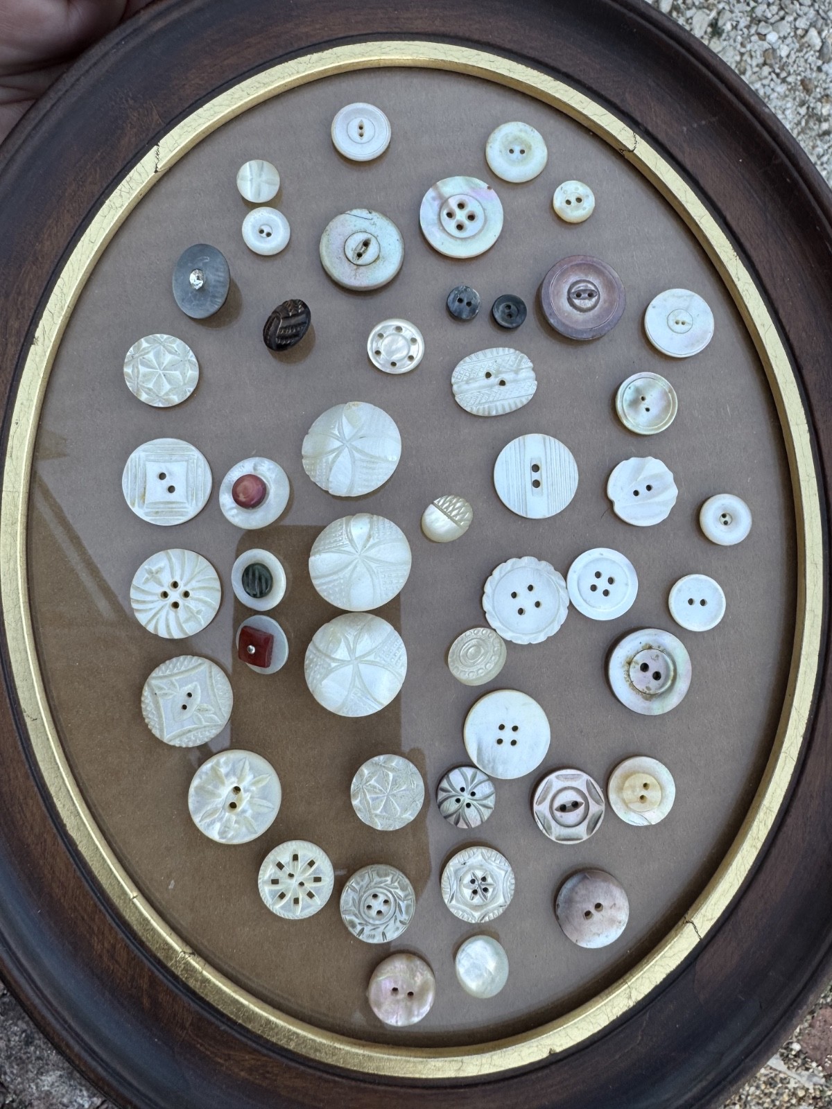 40+ Vintage Antique Mother of Pearl Shell Buttons Carved Floral Mixed Lot 
